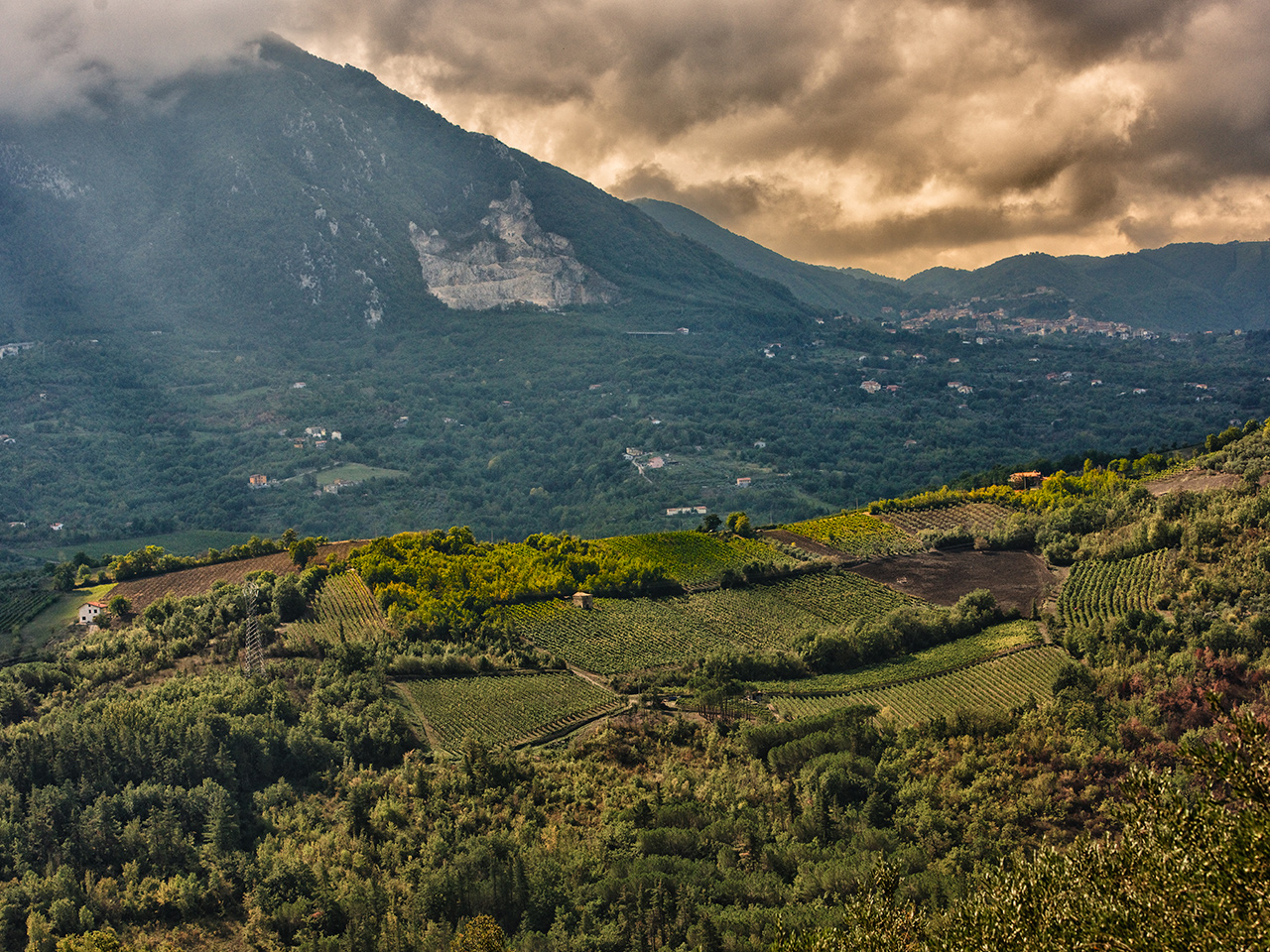 terroir_4-3_1280x960_campania